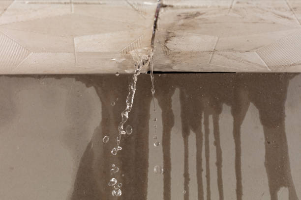 Professional Sewage Cleanup technician working in Clayton, NM